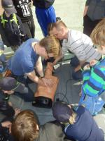 2017 - N�cvik prvn� pomoci - 