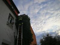 2020 - Ozdravování chaberských domů - 2020 - Ozdravování chaberských domů -
