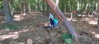 2022 - Hasi�sk� soust�ed�n� - den t�et� (zvan� kritick�) - 
