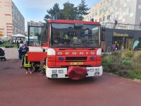 2022 - Svatov�clavsk� slavnosti - 