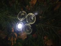 2022 - 1. adventn nedle - 1. adventn nedle
