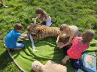 2023 - Libesk pou - 