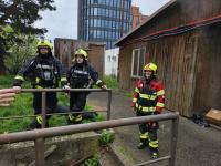 2023 - Cvien nen muen - 