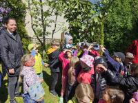 2023 - Hasii ve kolkch - 