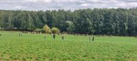 2023 - Soustedn  den tet  pondl - 