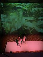 2023 - Sign�l Festival - 