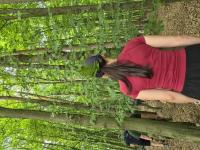 2026 - Hasi�sk� soust�ed�n� - 2. den � Asie a prvn� �opravdov�� t�borov� den - 